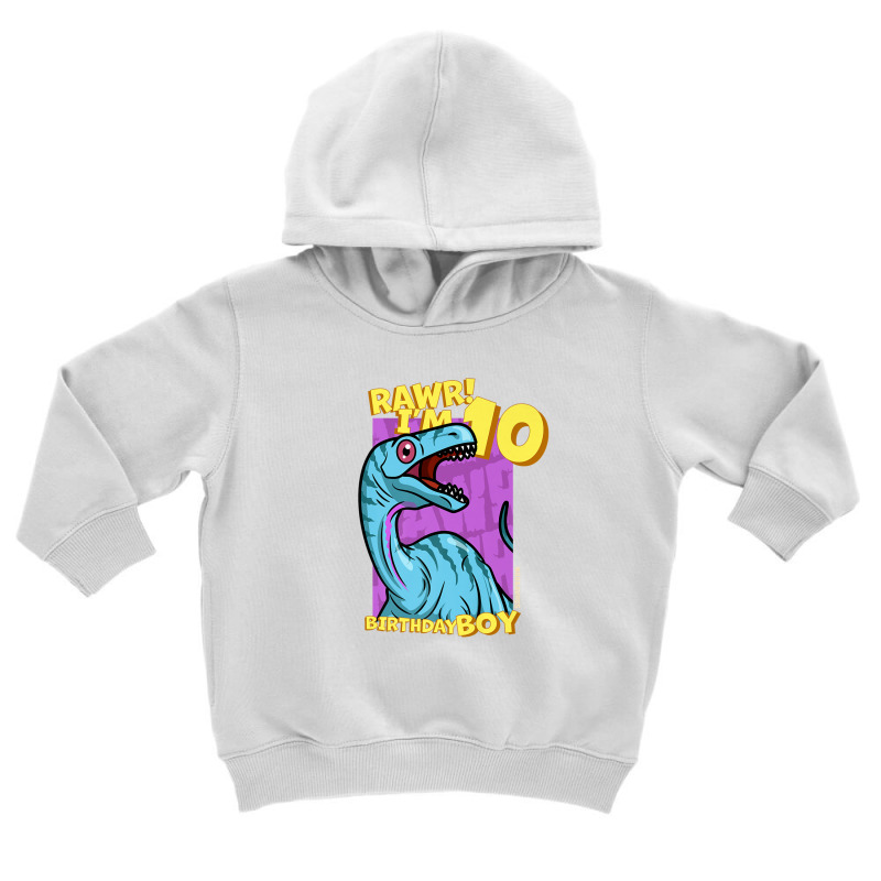 Rawr! I'm 10 Birthday Boys 10th Birthday Dino Noasaurus Toddler Hoodie | Artistshot