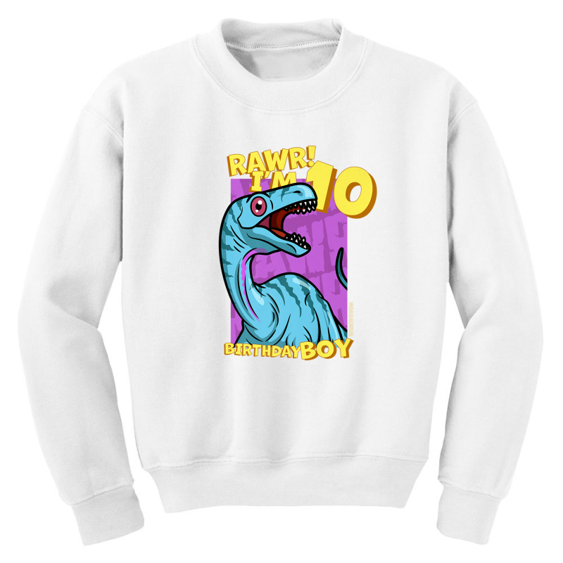 Rawr! I'm 10 Birthday Boys 10th Birthday Dino Noasaurus Youth Sweatshirt | Artistshot