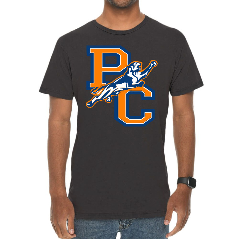 Purchase College Panthers Vintage T-Shirt by Wandira | Artistshot