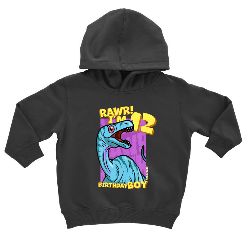 Rawr! I'm 12 Birthday Boys 12th Birthday Dino Noasaurus Toddler Hoodie | Artistshot