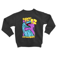 Rawr! I'm 12 Birthday Boys 12th Birthday Dino Noasaurus Toddler Sweatshirt | Artistshot