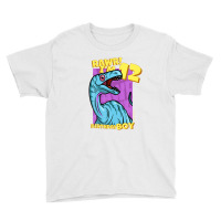 Rawr! I'm 12 Birthday Boys 12th Birthday Dino Noasaurus Youth Tee | Artistshot