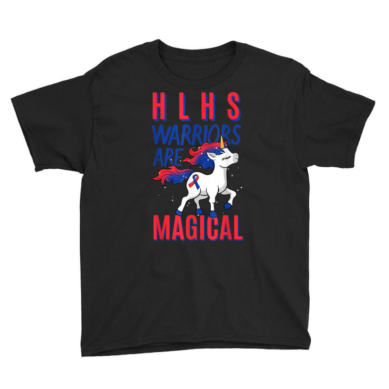 Hlhs Warrior Hypoplastic Left Heart Syndrome Unicorn Lover T Shirt Youth Tee | Artistshot