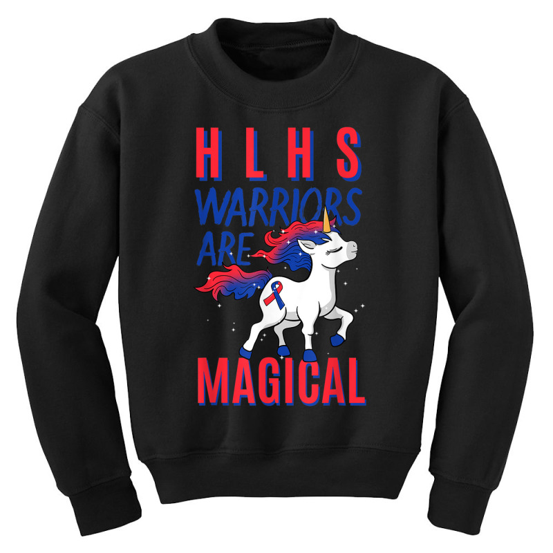 Hlhs Warrior Hypoplastic Left Heart Syndrome Unicorn Lover T Shirt Youth Sweatshirt | Artistshot