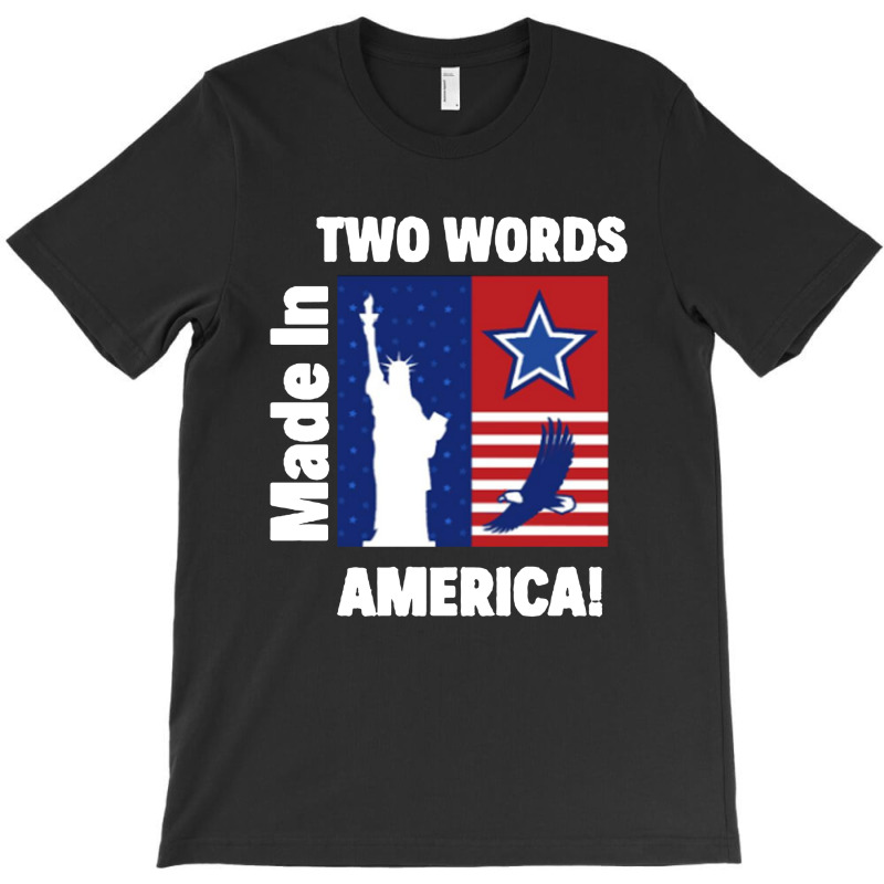 Two Words Made In America T-shirt | Artistshot