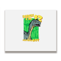 Rawr! I'm 12 Birthday Boys 12th Birthday Dino Mussaurus Metal Print Horizontal | Artistshot