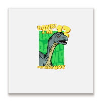 Rawr! I'm 12 Birthday Boys 12th Birthday Dino Mussaurus Metal Print Square | Artistshot