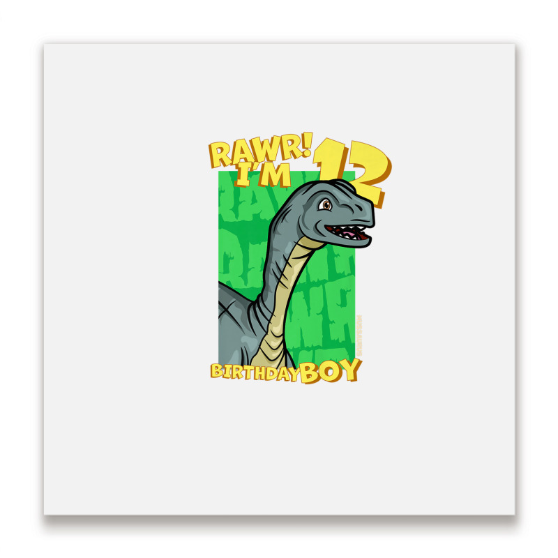 Rawr! I'm 12 Birthday Boys 12th Birthday Dino Mussaurus Metal Print Square | Artistshot