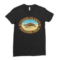 Jcombs Virgin Islands National Park, Sea Turtle On Beach Ladies Fitted T-shirt | Artistshot