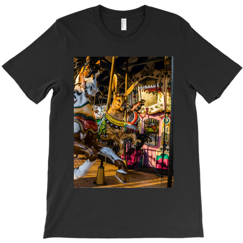 Carousel's T-shirt | Artistshot