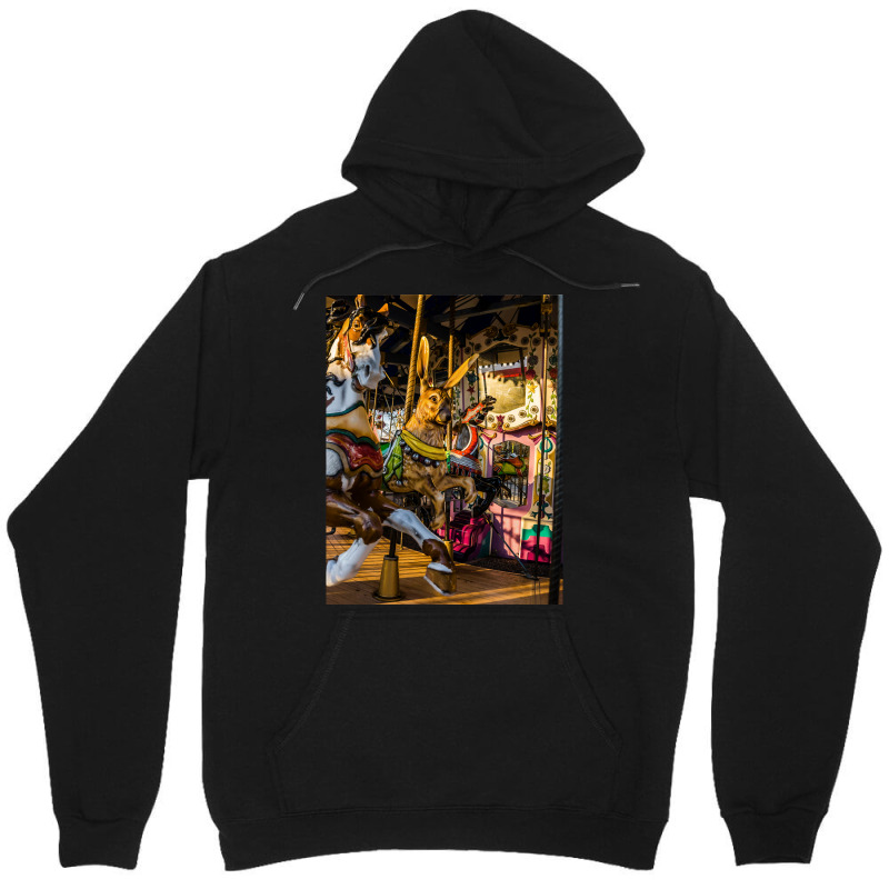 Carousel's Unisex Hoodie | Artistshot