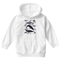 Whale Dolphin Vintage Ocean Life Preppy Marine Biologist Sweatshirt Youth Hoodie | Artistshot