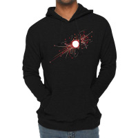 Higgs Boson Particle Physics Enthusiast Scientist Theory Lightweight Hoodie | Artistshot