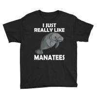 I Just Really Like Manatees Marine Mammal T Shirt Youth Tee | Artistshot