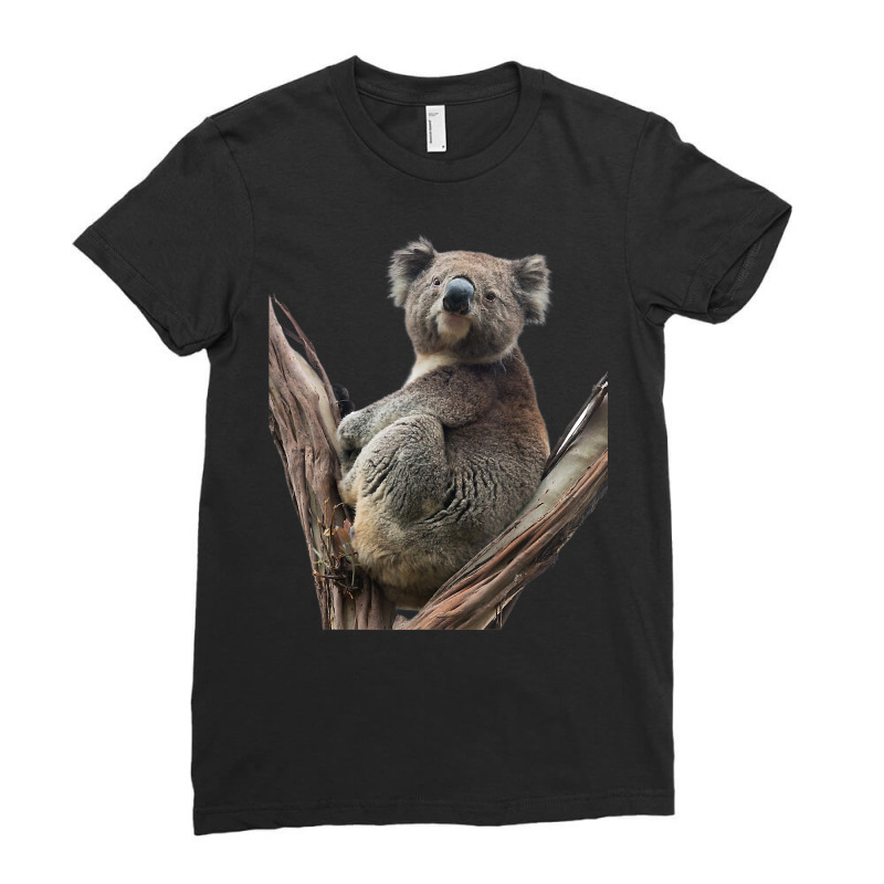 Koala Shirt Koala Eucalyptus Tree Marsupial Zoology T Shirt Ladies Fitted T-Shirt by alishia3asa | Artistshot