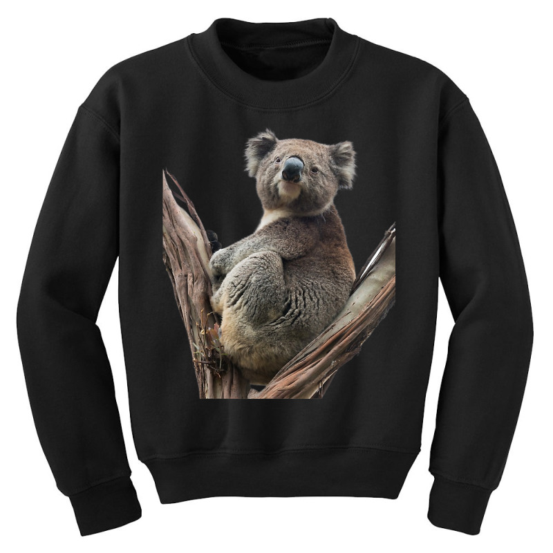 Koala Shirt Koala Eucalyptus Tree Marsupial Zoology T Shirt Youth Sweatshirt by alishia3asa | Artistshot