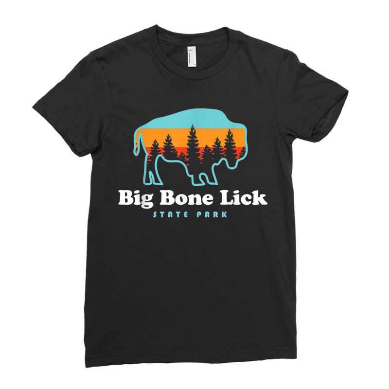 Big Bone Lick State Park Kentucky Bison Fossils Ladies Fitted T-Shirt by ZaraGross | Artistshot