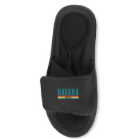 Gtmo Iguana  Guantanamo Bay Cuba Slide Sandal | Artistshot