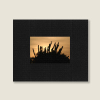 Cactus Sunrise Landscape Canvas Print | Artistshot