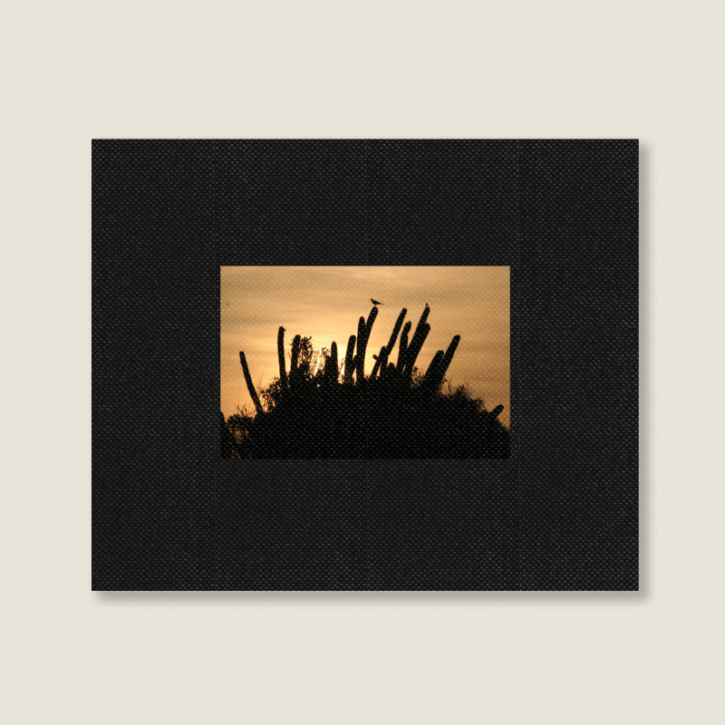 Cactus Sunrise Landscape Canvas Print | Artistshot