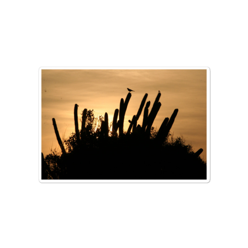 Cactus Sunrise Sticker | Artistshot