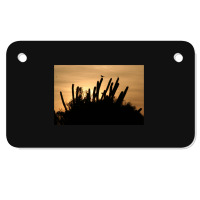 Cactus Sunrise Motorcycle License Plate | Artistshot