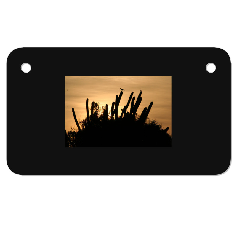 Cactus Sunrise Motorcycle License Plate | Artistshot