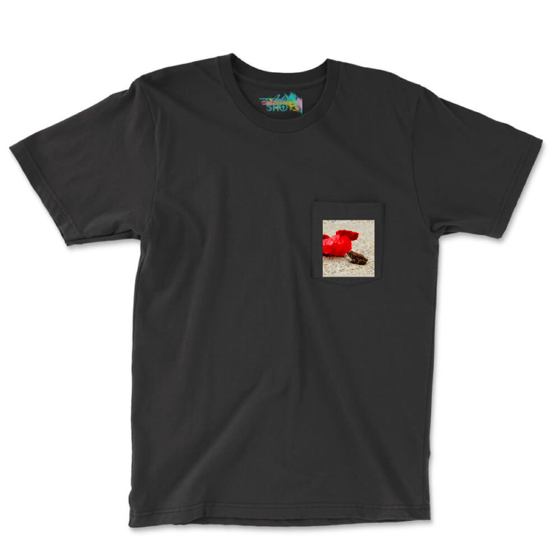 Cute Tiny Multi Colored Frog Next To A Red Geranium Blossom Flower  Sl Pocket T-Shirt by cm-arts | Artistshot