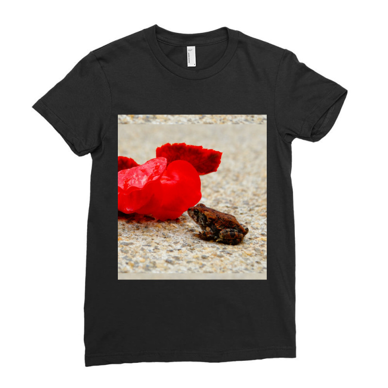 Cute Tiny Multi Colored Frog Next To A Red Geranium Blossom Flower  Sl Ladies Fitted T-Shirt by cm-arts | Artistshot