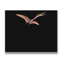 Quetzalcoatlus Pterosaur Dinosaur Classic Premium Metal Print Horizontal | Artistshot