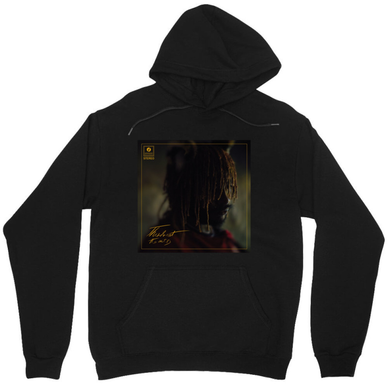 Thundercat  It Is What It Is Unisex Hoodie by cm-arts | Artistshot