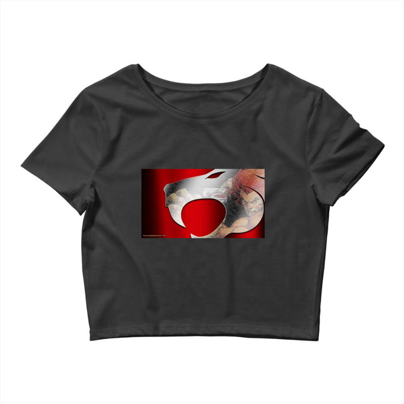 Thundercat  Premium Scoop Crop Top by cm-arts | Artistshot