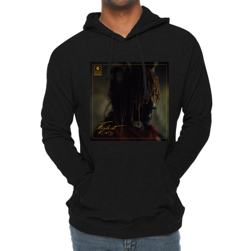 Thundercat 1 Gearrup It Is What It Is Lightweight Hoodie by cm-arts | Artistshot