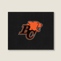 Bc Lions Landscape Canvas Print | Artistshot