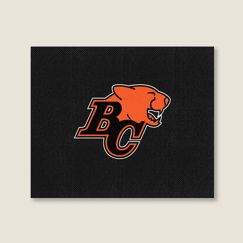 Bc Lions Landscape Canvas Print | Artistshot