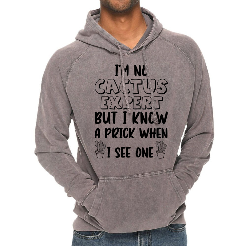 I_m No Cactus Expert But I Know A Prick When I See One, Gift Idea, Fun Vintage Hoodie by HISHIMUCHILDRESS | Artistshot