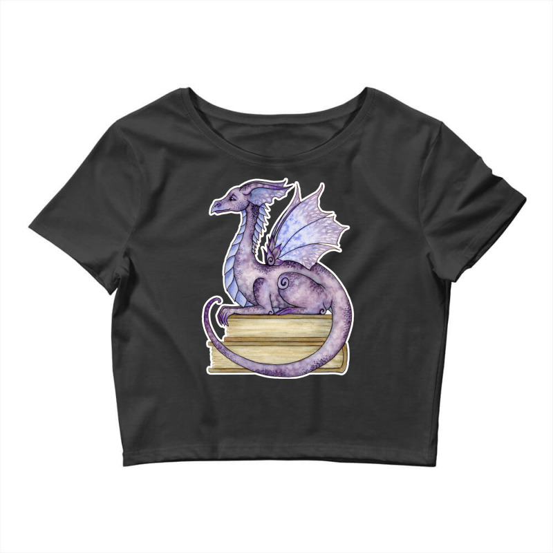 Amy Brown Story Time Book Dragon Long Sleeve T Shirt Crop Top by buske | Artistshot