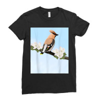 Bohemian Waxwing Bird Birder Birdlover Birdwatcher Biologist Ladies Fitted T-shirt | Artistshot