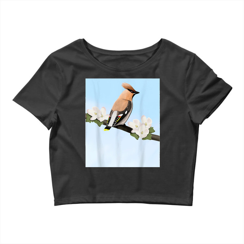 Bohemian Waxwing Bird Birder Birdlover Birdwatcher Biologist Crop Top by cm-arts | Artistshot