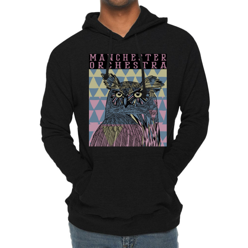 Orchestra Lightweight Hoodie | Artistshot