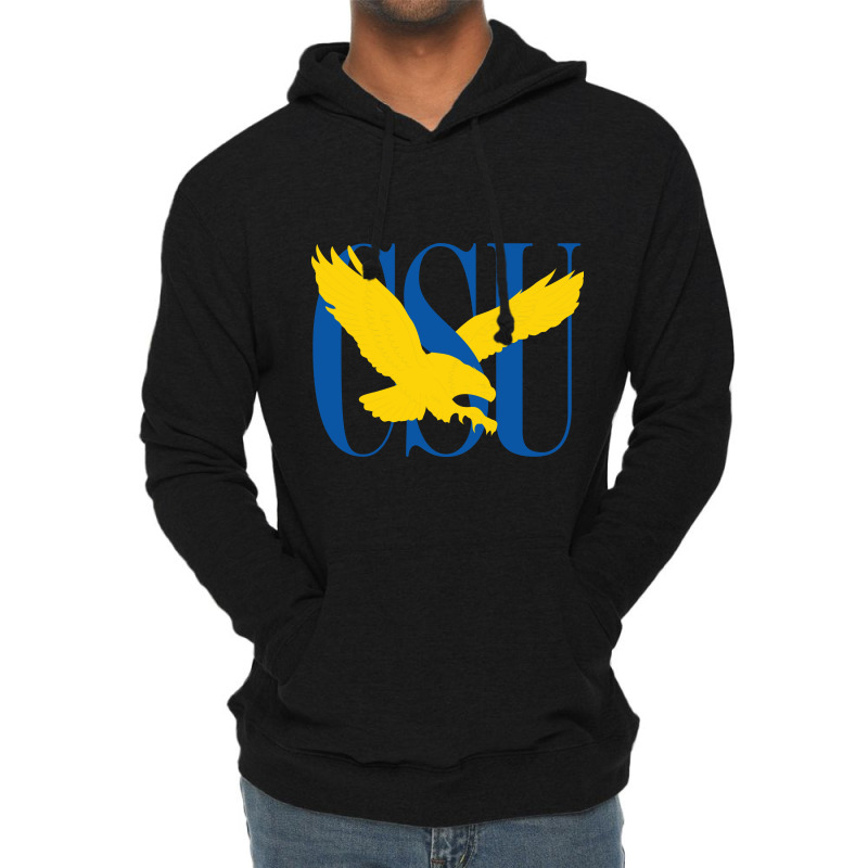 Coppin State Lightweight Hoodie | Artistshot