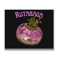 Rutabaga Swede Root Vegetable Swedish Turnip Neep Rwden Metal Print Horizontal | Artistshot