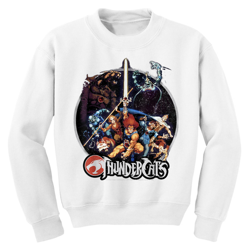 Thundercats Group Shot Vintage Circle T Shirt Youth Sweatshirt by cm-arts | Artistshot