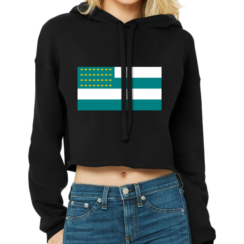 Flag Of The Fenian Brotherhood Cropped Hoodie by cm-arts | Artistshot