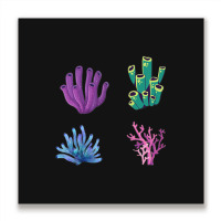 Crustaceancore Coral  Pack Metal Print Square | Artistshot