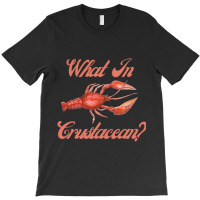 What In Crustacean  Cute Crustaceancore T-shirt | Artistshot