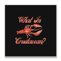 What In Crustacean  Cute Crustaceancore Metal Print Square | Artistshot