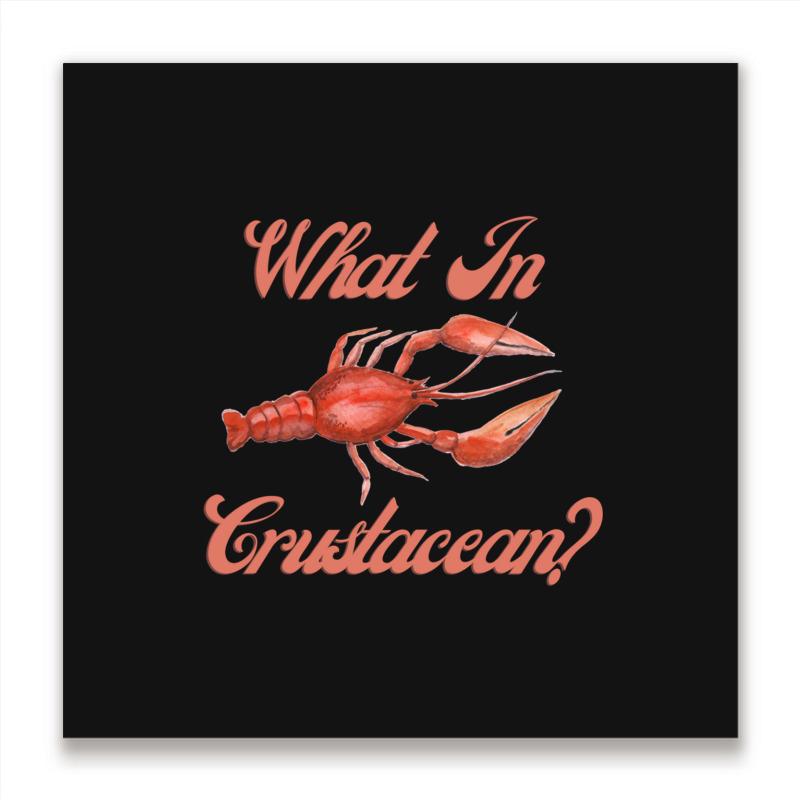 What In Crustacean  Cute Crustaceancore Metal Print Square | Artistshot