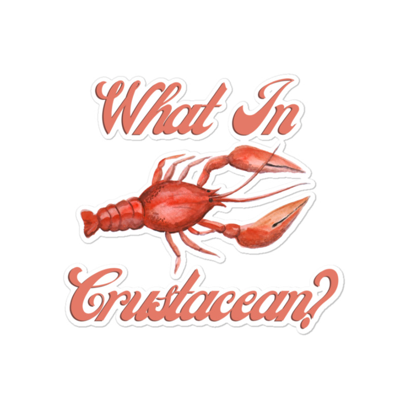 What In Crustacean  Cute Crustaceancore Sticker | Artistshot