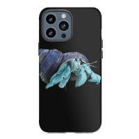 Aqua Colored Hermit Iphone 13 Pro Max Case | Artistshot